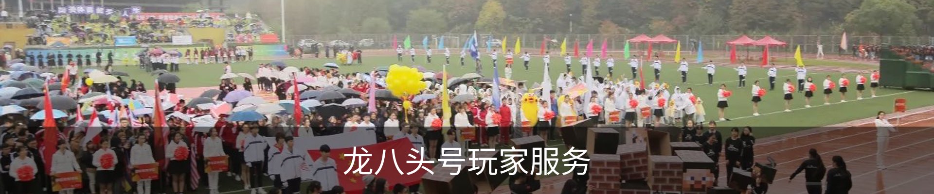 龙八头号玩家服务