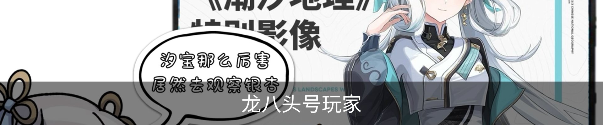 龙八头号玩家